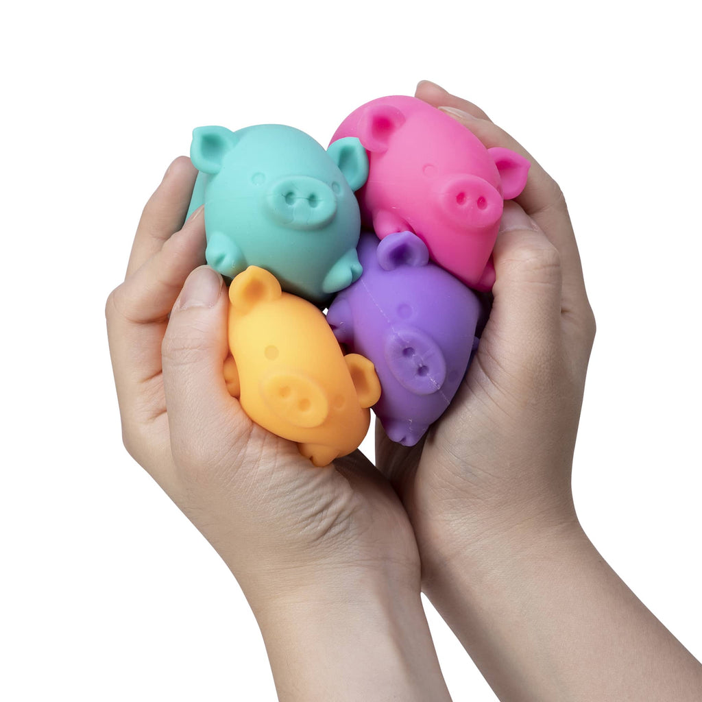 Squishy Pig Sensory Toy